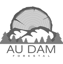 AU DAM